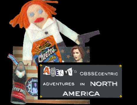 Aderyn's OBSSEcentric Adventures in North America
