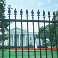 Scully Finger Puppet jumps out of Aderyn's hand and prepares to storm the White House. She gets stuck on the railings, but does not lose heart... what a gal. 