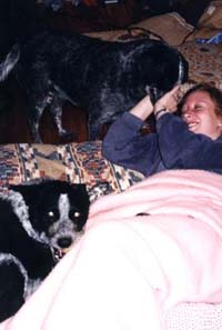 Sleeping Beauty is awakened by the Canines Charming.